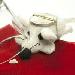 History of the Tooth Fairy