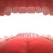 From Incisors to Molars:Tooth Types and Their Function